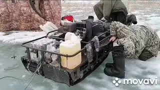 гостья "МАТ"