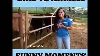 FUNNY video girl vs animal wow comedy
