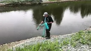Кастинговая сеть