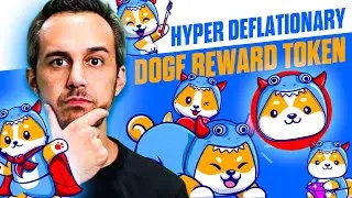 BabyMon Floki - Hyper Deflationary Doge Reward Token