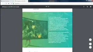 Обзор Whitepaper Play2Live