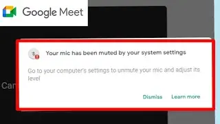 Google Meet Fix Your mic has been muted by your system settings Problem Solve
