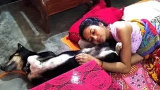 In The Morning My Dog ​​Sleeps Next To Me And I Massage His Belly And He Sleeps Deeply