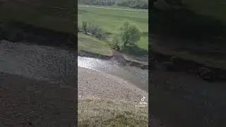 #к.ч.р сторожевая