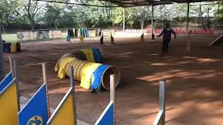 2019 10 13   Agility 2   Garu