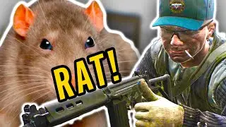 Ratting our way through Escape From Tarkov