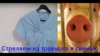 Из травмата в мясо/ тест на пробитие пистолета