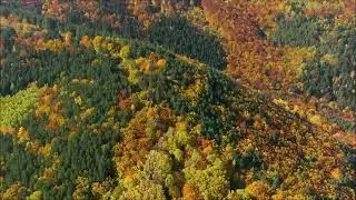 Beautiful Piano music relaxing