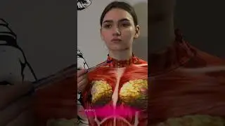 4 февраля 2024 г.
