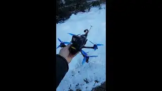 Snow Bird '24