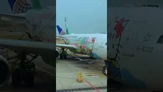 I flew on the Hello Kitty airplane! ✈️ 🎀