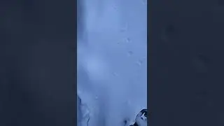 Холодный запуск Тойота Надя -20