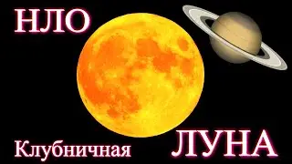 Наступила ЧЁРНАЯ полоса! 24 июня 2021 года!