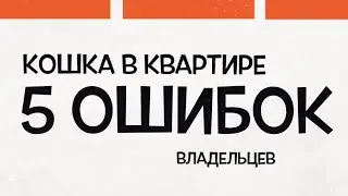 Кошка в квартире, частые ошибки владельцев