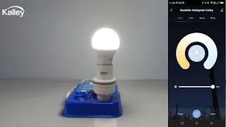 Aprende a conectar el bombillo LED K-BS8W con la app HOME KALLEY: ¡Domotiza tu hogar con facilidad!