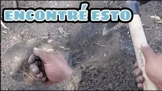 buscando tesoros en las hormigas #oro #detectordemetales #tesoros#playa #deteccion #travel