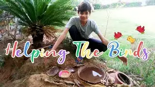 Helping the birds | Caring of birds | food, water and shelter for birds| love birds | summer 2021