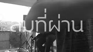 ลมที่ผ่าน - 𝑷𝑰𝑿𝑲𝒀𝑴𝑯𝑬𝑬  [LIVE SESSION]