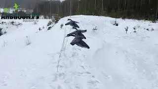 Флюгер летающий белолобый гусь  Чучела гусей с крыльями машущими  Чучела гусей Аквазон ру