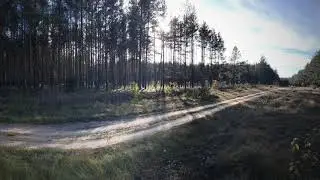 Беларусь.  Красивый день