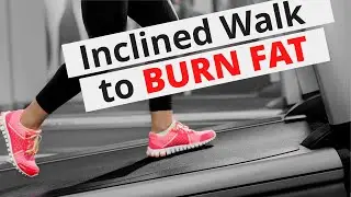 What is a Zone 2 Cardio? 