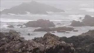 Amphitrite Point