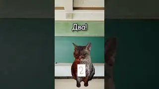 Типичный класс😂🤣 #школа #shorts #tiktok #youtube #котики #футажи #хочуврек