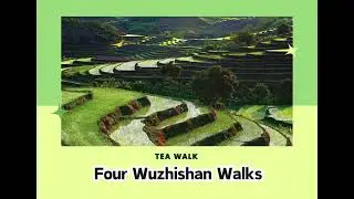 Tea Walk