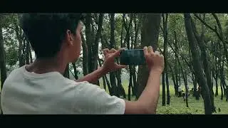 Lights, Camera, Wilderness: Get Ready for a Jaw-Dropping Cinematic Escape😮🌦️🌳