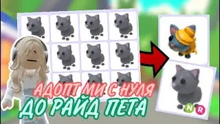 АДОПТ МИ С НУЛЯ ДО РАЙД ПЕТА!ДОНАТЕРЫ РАСКОШЕЛИЛИСЬ🤯