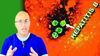Hepatitis B Vaccine (Important Things You Need To Know)