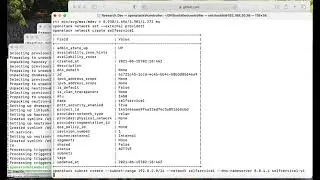 OpenStack Victoria Installation (Scripts) 19: test initial networks