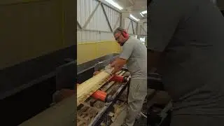 Serra Circular Múltipla | Vantec #serraria #vantec #maquinas
