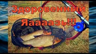 Здоровенный Яаааазь!!! Рыба моей мечты. Авторский инструментал SaAnVi.