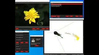 Photo Colors версия 1.0