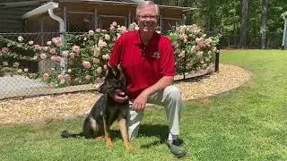 Do YOU Have a PROBLEM with Your German Shepherd??? Ask German Shepherd Man!!!