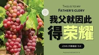 20241026｜我父就因此得荣耀（张娟玲牧师）
