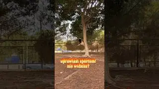 uprawiać sport - заниматься спортом