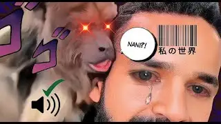 Bichinhos que nos entendem 2