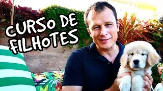 Curso de Filhotes com Alexandre Rossi