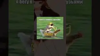 Мем (...
