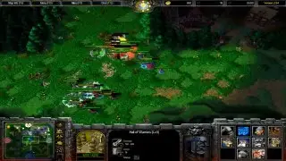 Warcraft 3 TFT - Survival Chaos #11