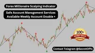 BTCUSD M15 Backtest Working | Forex Account/Fund Management Services | Forex Arrow Indicator