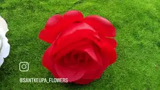 #santkrupa #flowers #rose #decoration