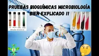 BIOCHEMICAL TESTS MICROBIOLOGY [Quick and Easy]