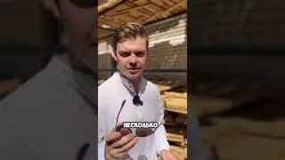 Как не быть овцой и дрожащей тварью на переговорах?🤔