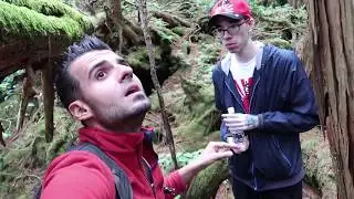 S-A SINUCIS IN PADURE! (Aokigahara, Ep.3)