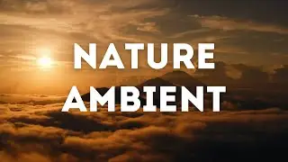 Nature Documentary Ambient Music | Free Music for Video Creators