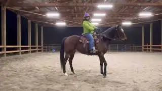 Willow rides amazing even after sitting for over 3 weeks.