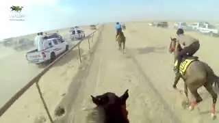 سباق ماراثون الأصيل 2014  Marathon Alaseel
